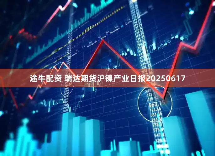途牛配资 瑞达期货沪镍产业日报20250617