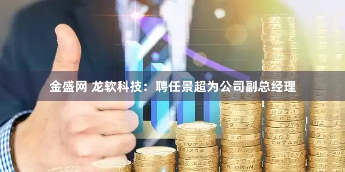 金盛网 龙软科技：聘任景超为公司副总经理