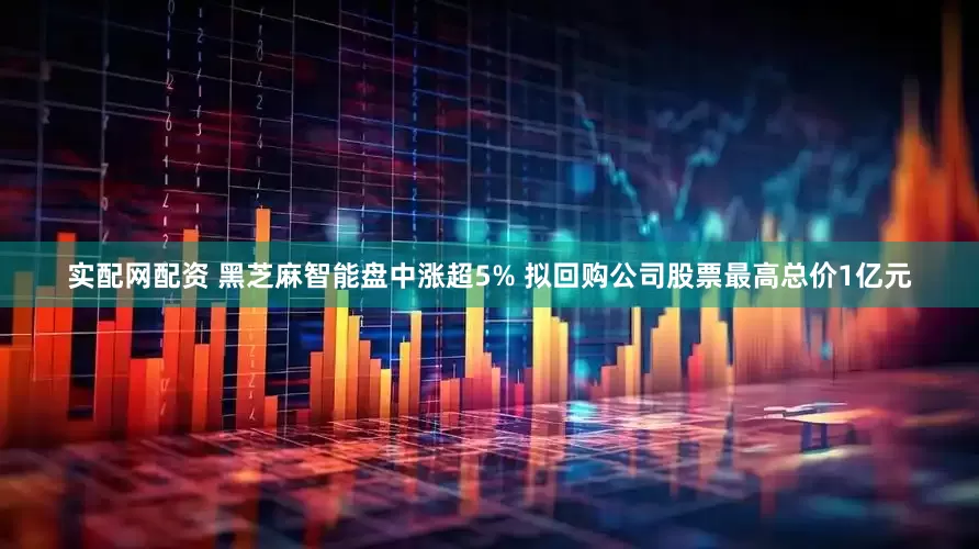 实配网配资 黑芝麻智能盘中涨超5% 拟回购公司股票最高总价1亿元