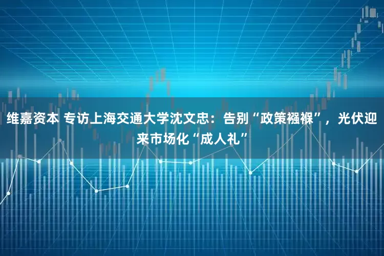 维嘉资本 专访上海交通大学沈文忠：告别“政策襁褓”，光伏迎来市场化“成人礼”