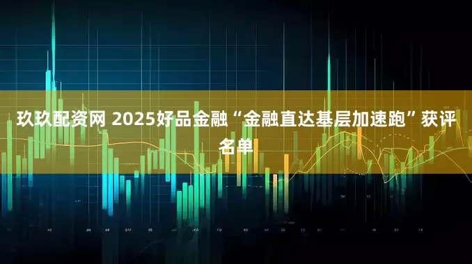 玖玖配资网 2025好品金融“金融直达基层加速跑”获评名单