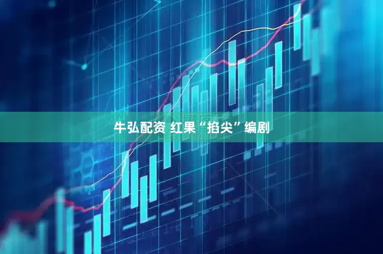 牛弘配资 红果“掐尖”编剧