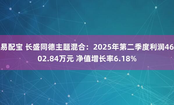 易配宝 长盛同德主题混合：2025年第二季度利润4602.84万元 净值增长率6.18%