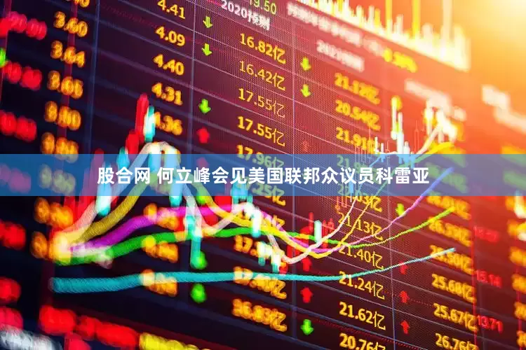 股合网 何立峰会见美国联邦众议员科雷亚